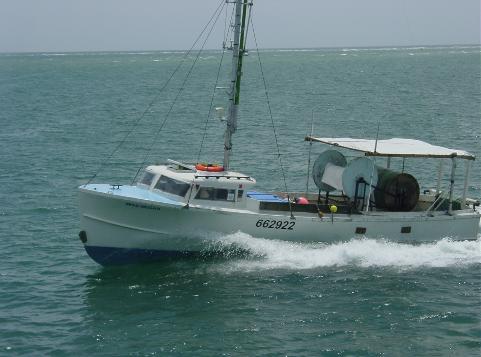 You are bound to see occasional ships passing to and fro at Oregon Inlet