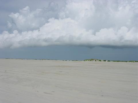 Yearn for Gift shops, fast food, noisy streets...the Outer Banks is not the place you want to be!