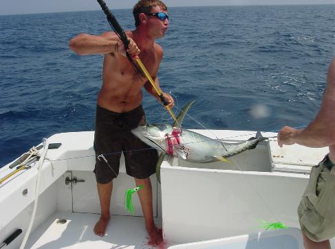 Excellent fishing is available off the Outer Banks...Here a 50lb tuna comes aboard