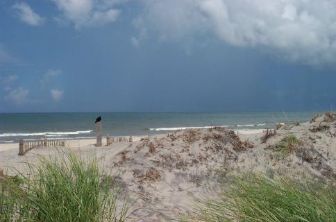 The Outer Banks has miles and miles of pristine dunes...becareful to cross dunes only in desigated areas